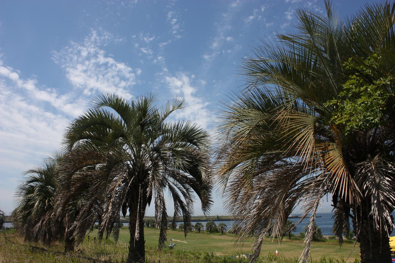 Palm Garden Maishima By Wbf Osaka Zewnętrze zdjęcie